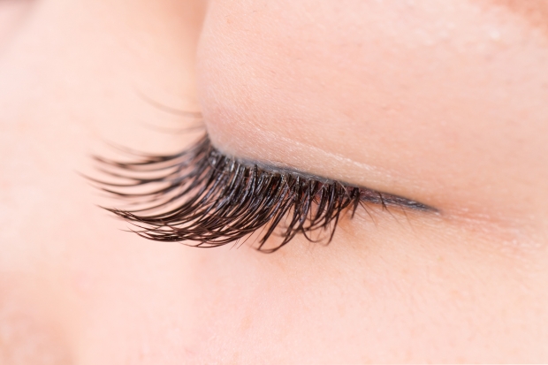 つけまつげ　False eyelashes of the Asian woman