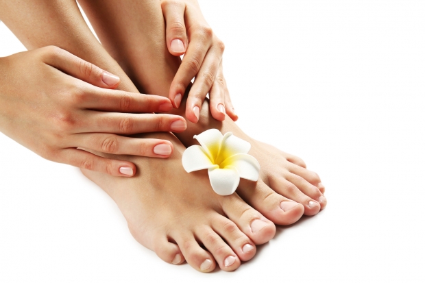 Female feet at spa pedicure procedure with plumeria isolated on white
