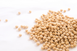 大豆プロテイン摂取は体臭以外にもメリットがたくさん！